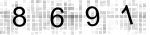 CAPTCHA verification code