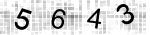 CAPTCHA verification code